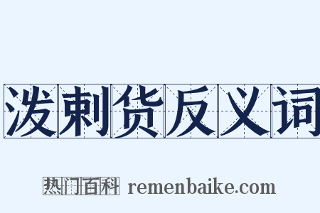泼剌货反义词是什么意思的图片